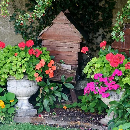 Maison d'hôtes Pomadora Freshford